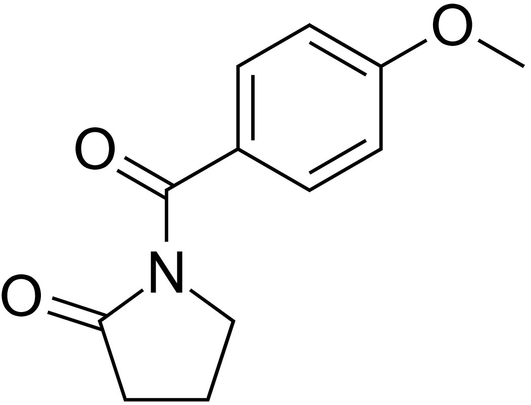 Aniracetam