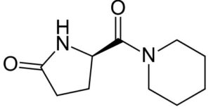 Fasoracetam