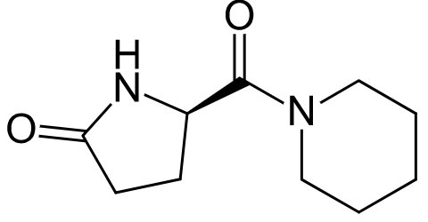 Fasoracetam