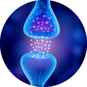 Neurony