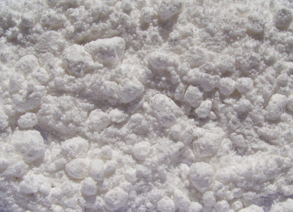 Noopept proszek - Zion Pharma