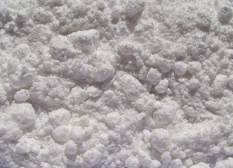 Noopept proszek - Zion Pharma