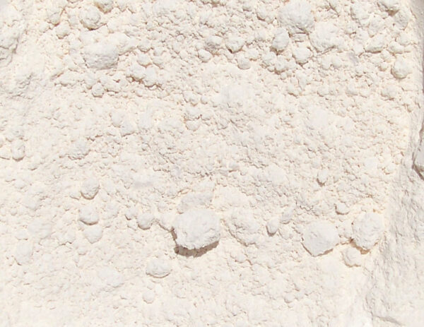 Nooglutyl - Zion Pharma